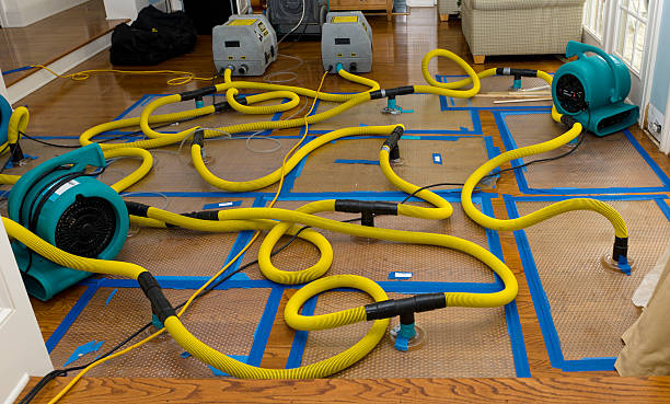 Professional Water Damage Restoration technician working in Monroe, UT